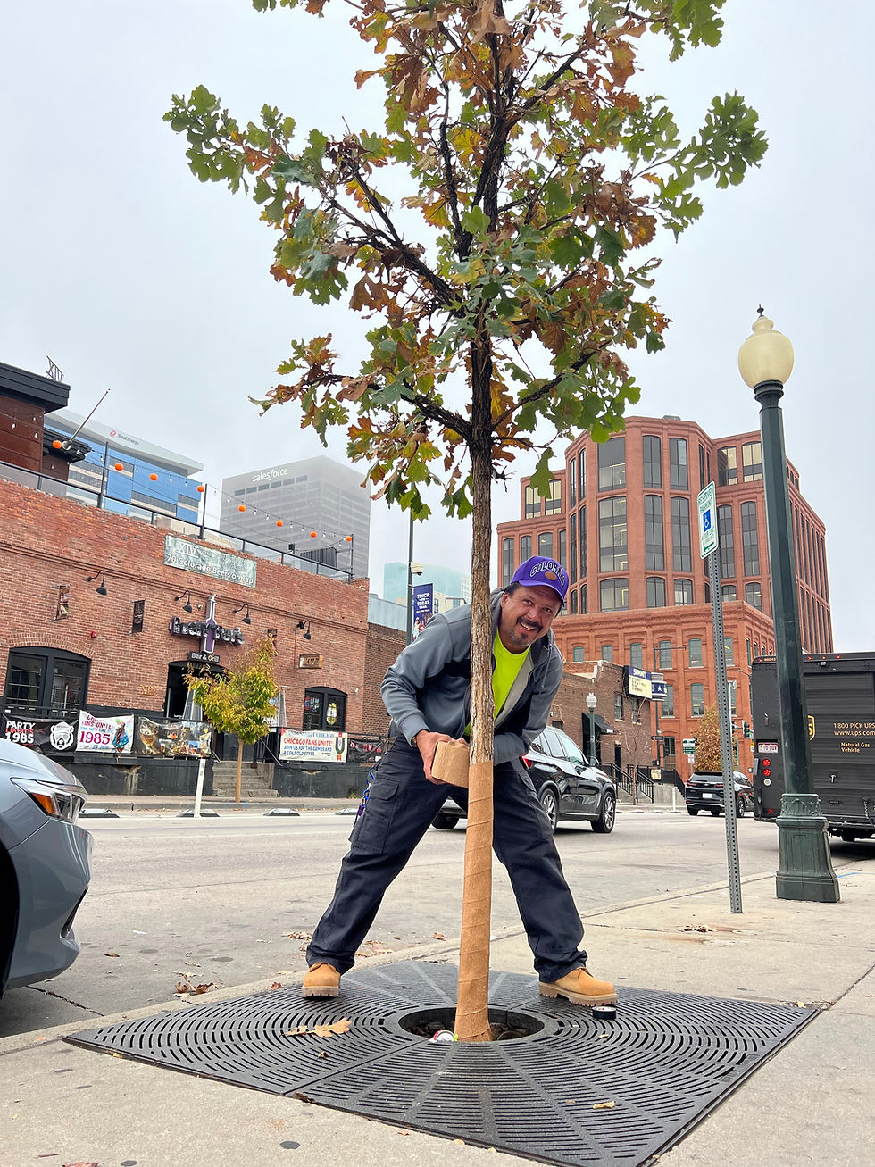 Man planting tree in urban setting
