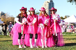 Susan G. Komen Colorado MORE THAN PINK Walk