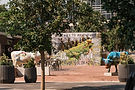 16th Street General Nikki A Rae 08.09.2025_websize.jpg