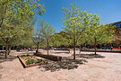 DDP Environmental Nikki A Rae 04.17.2025-19_websize.jpg