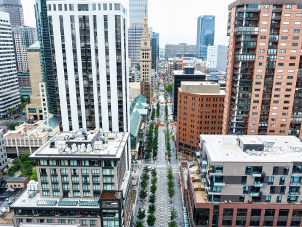 DJI_20240808101543_0015_D (1).jpg